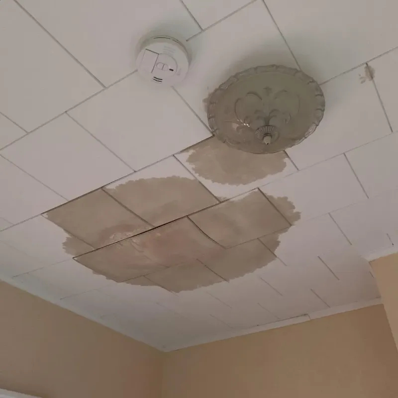Ceiling Water Damage Repair in River Road, NC